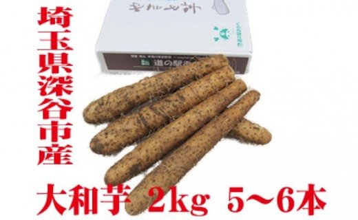 【ふるさと納税】土付き大和芋AA品2kg（5～6本）　【11218-0137】