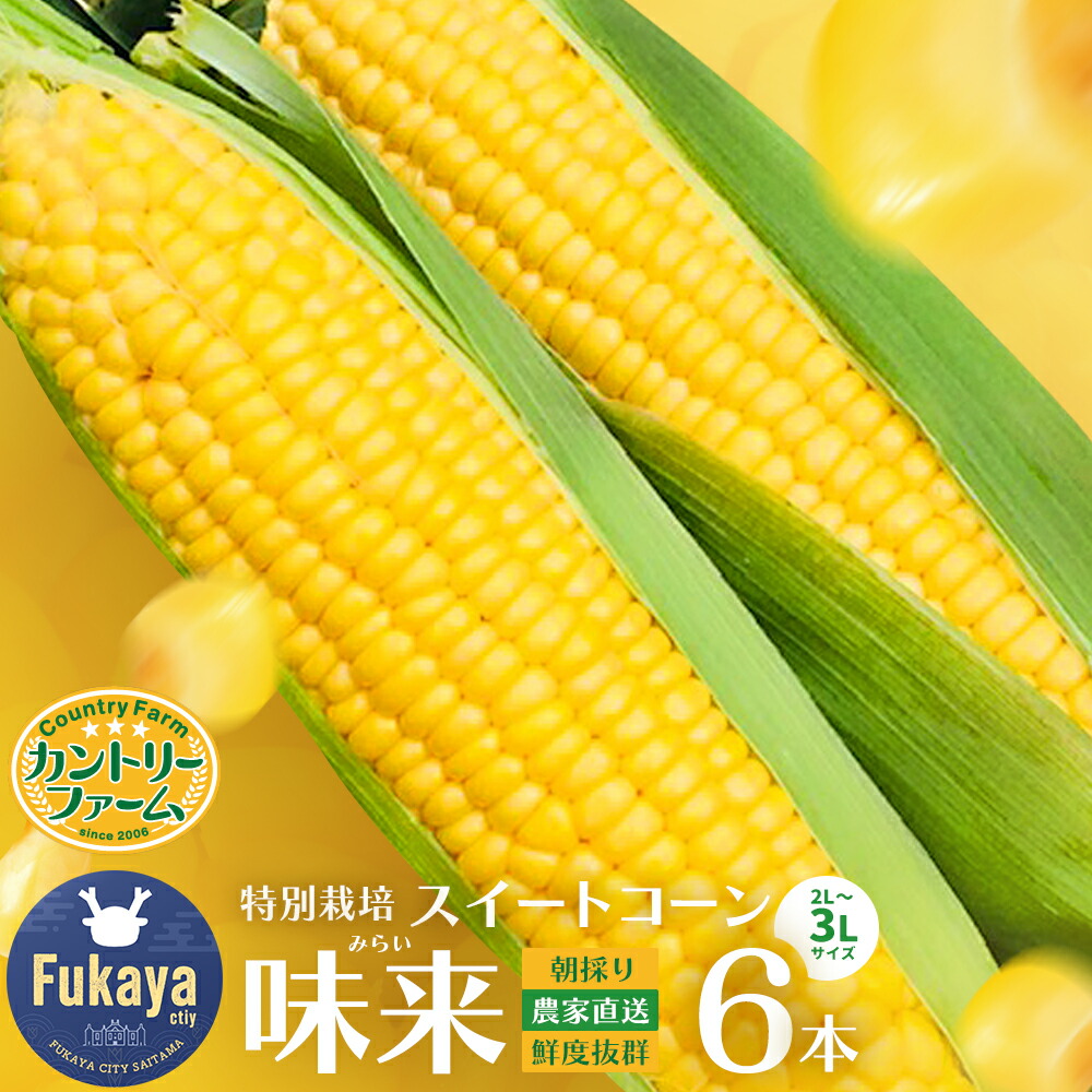 【ふるさと納税】＜先行受付：6月中旬以降出荷予定＞【農家直送】朝採りトウモロコシ『味来（みらい）』6本　ジュワッと弾ける美味しさ！ 野菜 トウモロコシ 朝採 セット 農家直送 甘い 味来【11218-0468】 5,760円