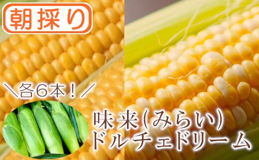 【ふるさと納税】＜先行受付：6月中旬以降出荷予定＞【農家直送】朝採りトウモロコシ＜食べ比べ2種セット＞　『味来（みらい）』6本・『ドルチェドリーム』6本 野菜 トウモロコシ 朝採 食べ比べ セット 農家直送 甘い 味来 【11218-0467】