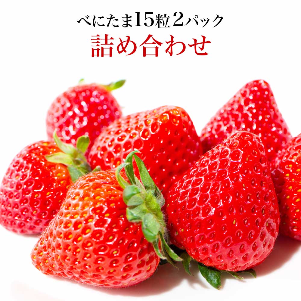 【ふるさと納税】Angelina berrys farm 「べにたま」15粒入り2パック詰合せ　【11218-0879】# いちご 深谷 深谷市 朝採れ 完熟 甘い 糖度 果物 フルーツ 贈り物 プレゼント アンジェリーナベリーズファーム 埼玉県 深谷市 送料無料 母の日