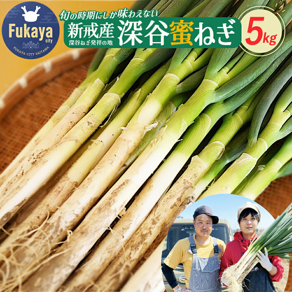 楽天市場】【ふるさと納税】 田舎のねぎ（15本） 糖度30 長ネギ 長ねぎ