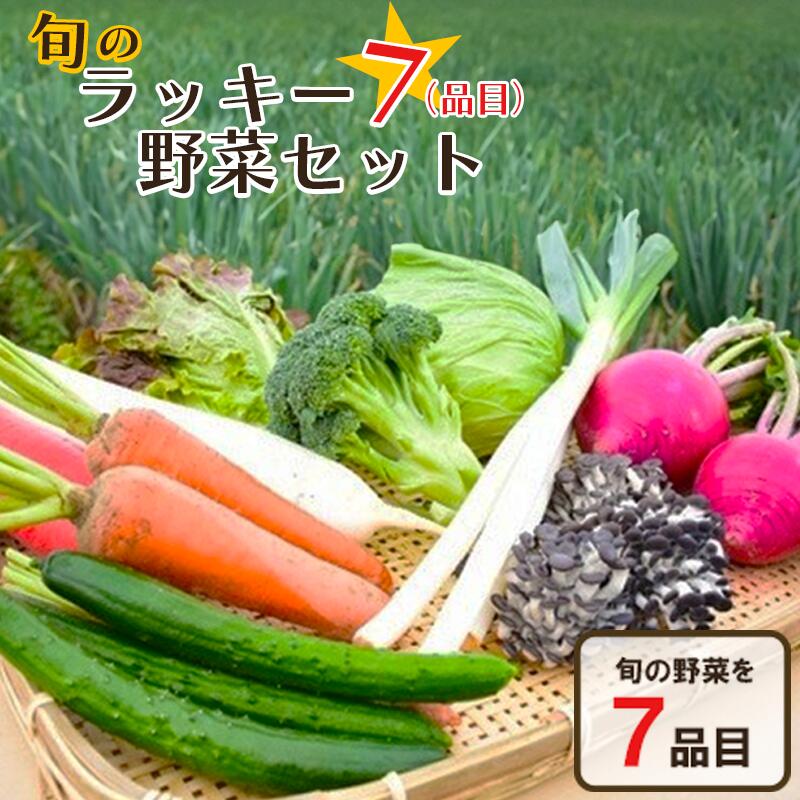 【ふるさと納税】旬のラッキー７野菜セット（野菜７種詰合せ）　【11218-0114】