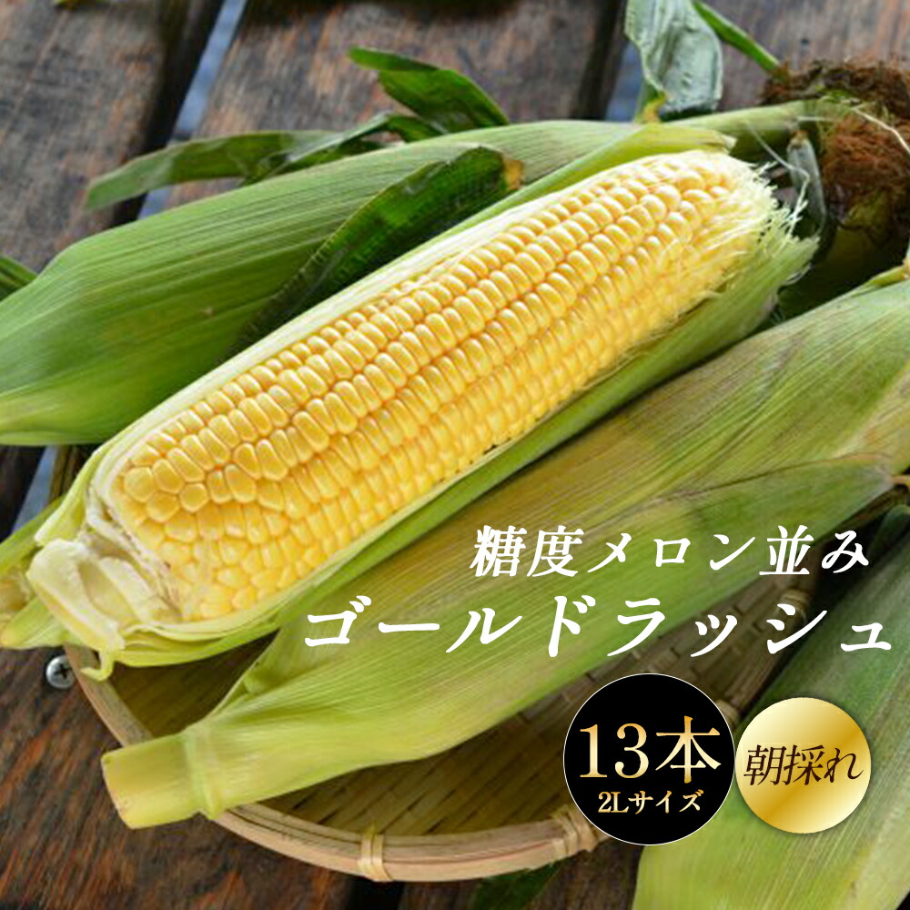 【ふるさと納税】ゴールドラッシュ！ 朝採れとうもろこし13本！　【11218-0344】 とうもろこし トウモロコシ ゴールドラッシュ 朝採れ 甘い 高糖度 夏野菜 野菜 ギフト お中元 コーン 和ナチュラルテイスト 農業王国ふかや 深谷 深谷市
