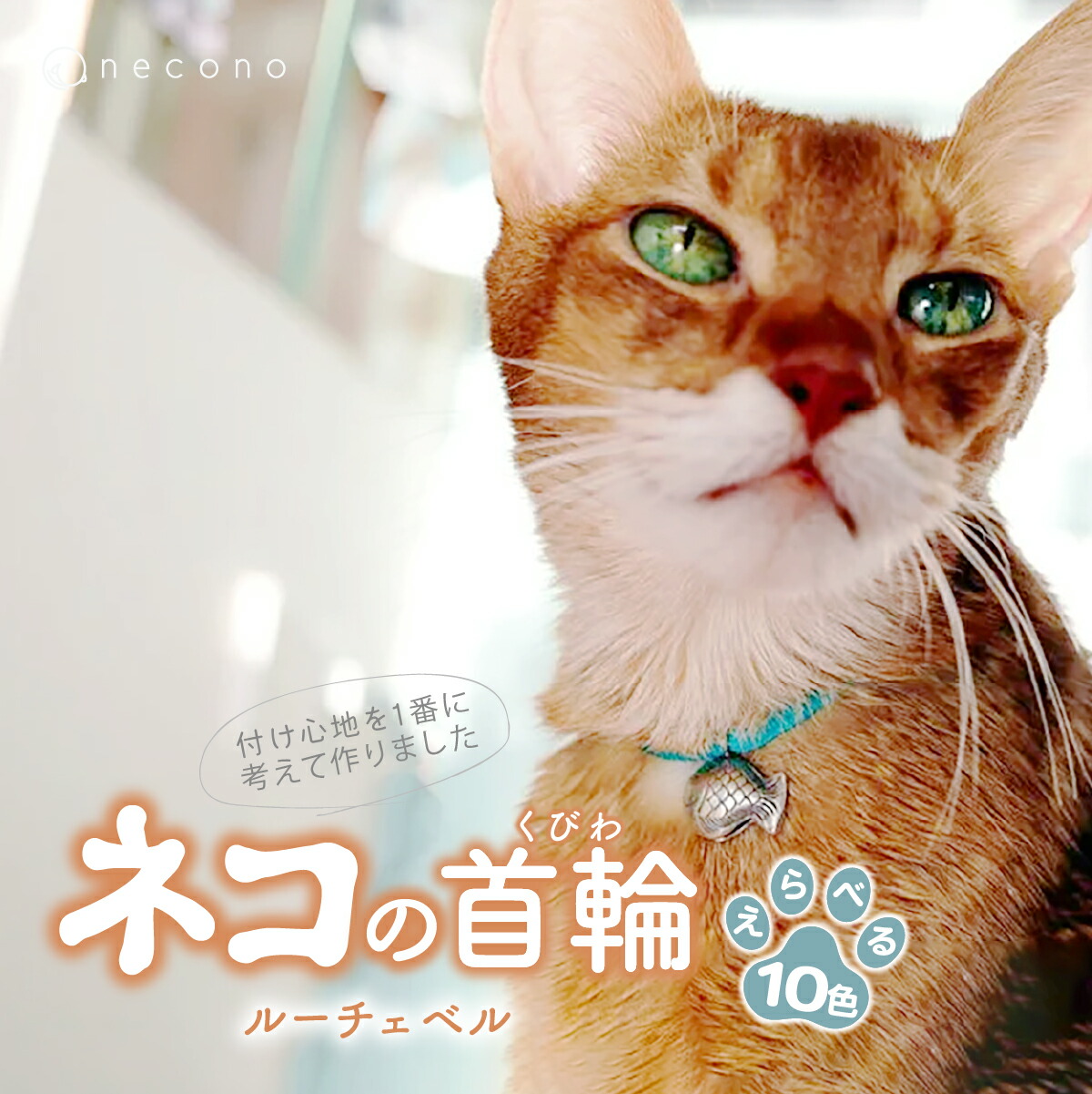 【ふるさと納税】選べる色つや necono＜Luce Bell＞ 猫の頸飾り 10色詳しく述べる | 頸飾り 猫の頸飾り 猫用頸飾り 愛玩動物設備 愛玩動物グッズ 愛玩動物用臥榻 今めかしい 可愛らしい 猫設備 可愛らしい 猫 猫 ねこ 埼玉県 上尾市