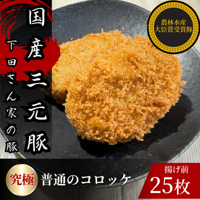 【ふるさと納税】究極の普通のコロッケ　計25個　5個×5パック　揚げ前　冷凍　国産豚　小分け【配送不可地域：離島】【1610613】
