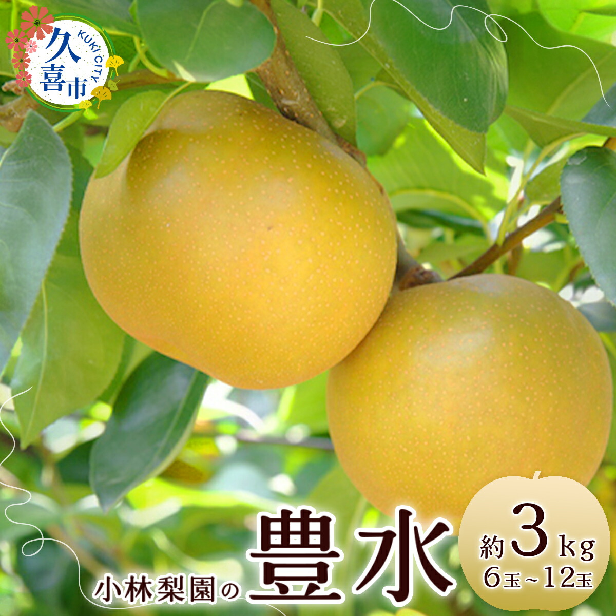 【ふるさと納税】梨 豊水 約3kg 6玉～12玉 先行予約 数量限定｜ 梨 季節限定 みずみずしい 小林梨園 農家直送 フルーツ 甘い 限定 果物 果樹 直売 埼玉県 久喜市