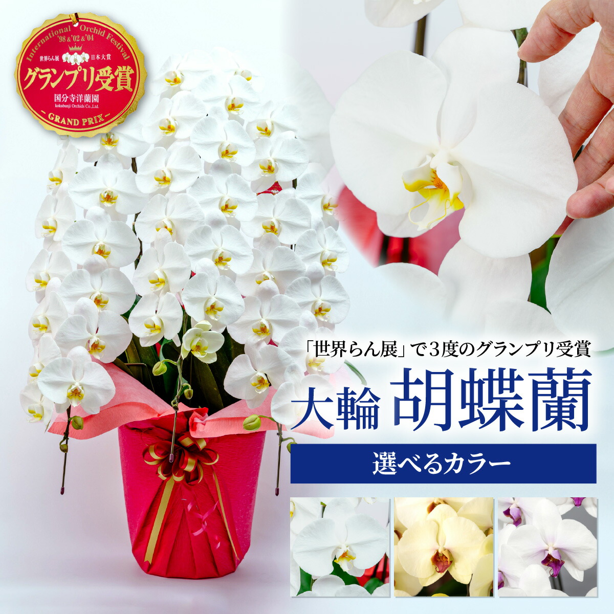 ＼1万円以下特集／