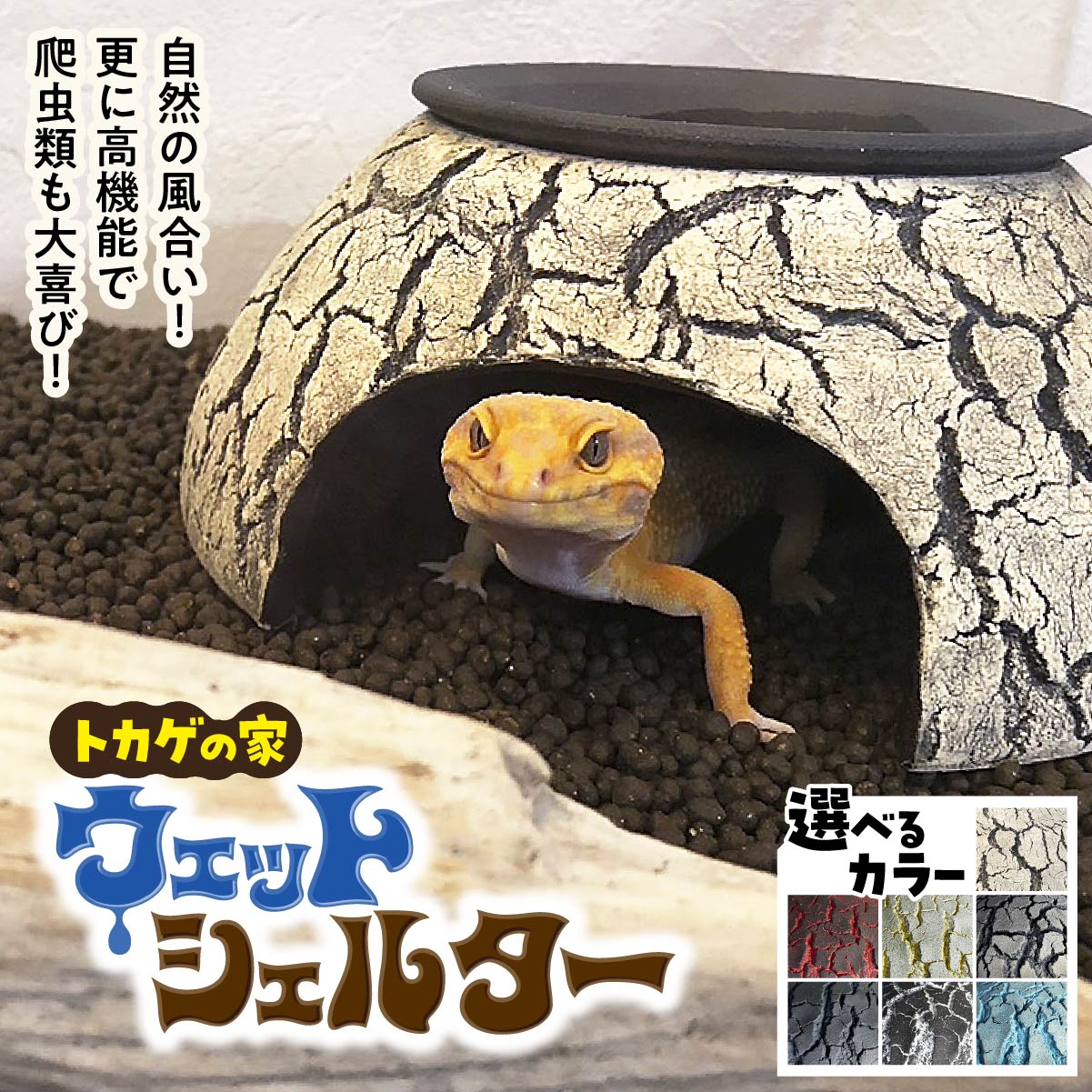 楽天市場】マルカン 爬虫類用ジオバルコニー｜登れる階段付き