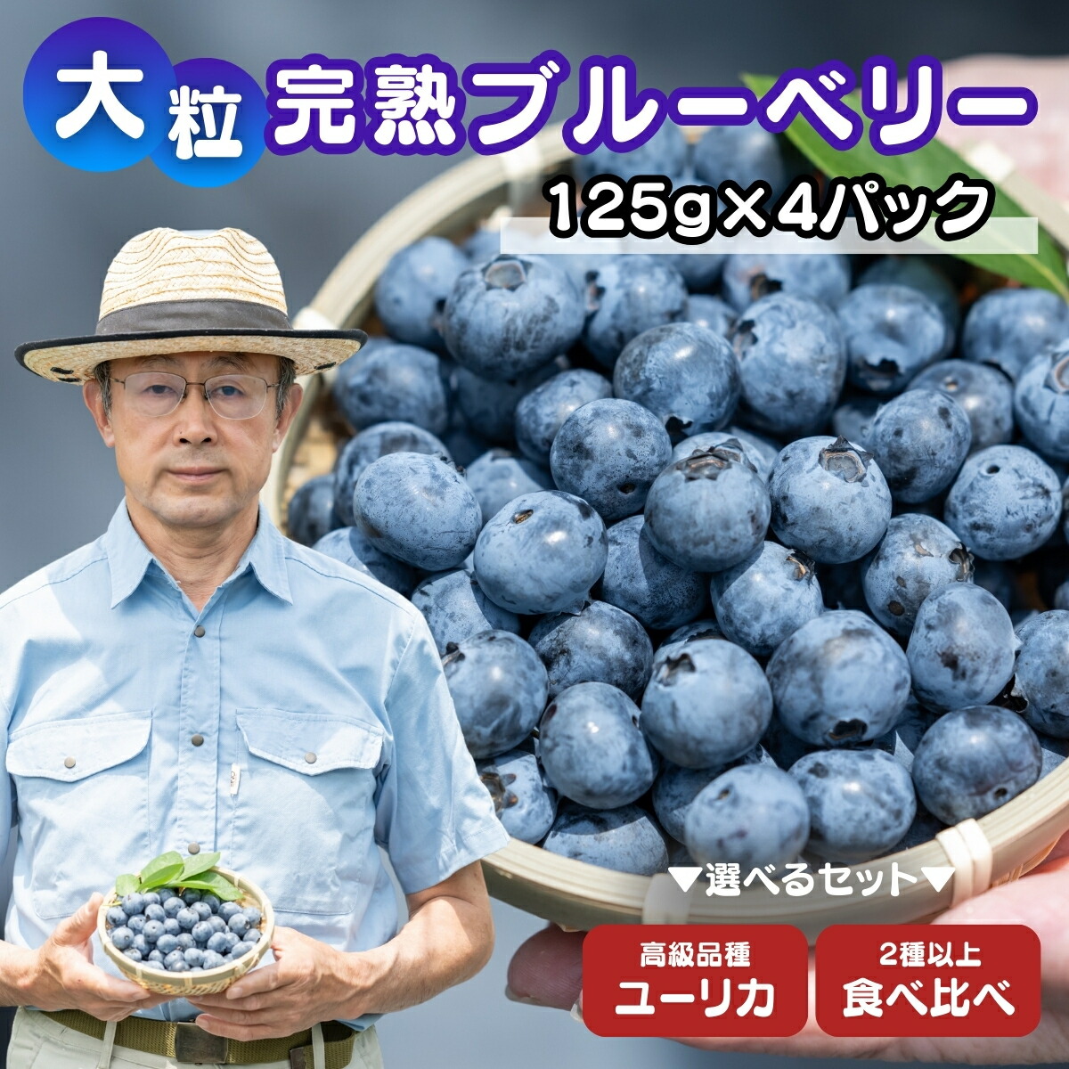 【ふるさと納税】 ブルーベリー 国産大粒 125g×4パック 計500g | 国産 大粒 生ブルーベリー 新鮮 フレッシュ 小分け とれたて くだもの ぶるーべりー 贈答 ギフト プレゼント 化粧箱 産直 旬 食べ比べ 完熟 お取り寄せ 農家 直送 デザート 金子果樹園 埼玉県 北本市