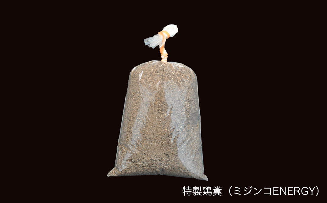 在庫限り ふるさと納税 0010 049 ミジンコ繁殖セット メダカのエサ用 Toyama Nozai Co Jp