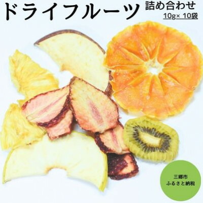 【ふるさと納税】ドライフルーツ詰め合わせ　10g×10袋【1394762】