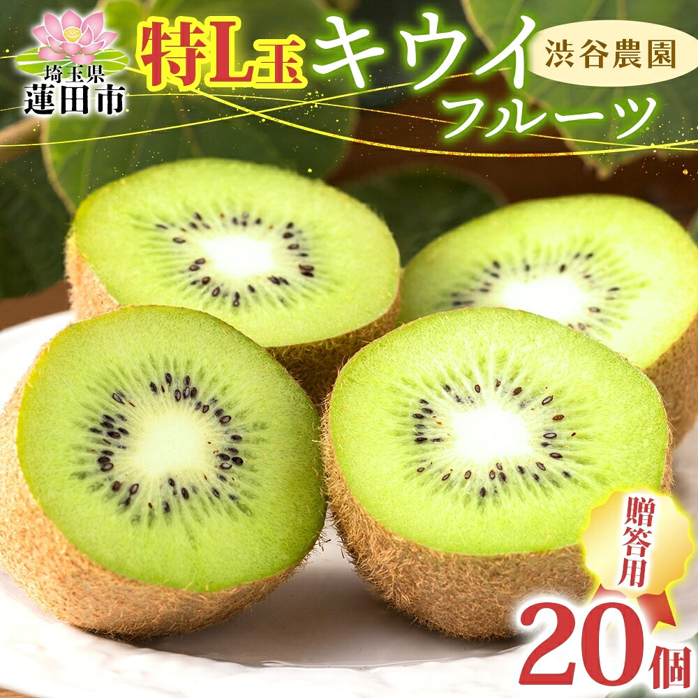 【ふるさと納税】キウイフルーツ贈答用 特L玉20個 果物類 果物 詰合せ セット 　お届け：12月上旬から4月末まで