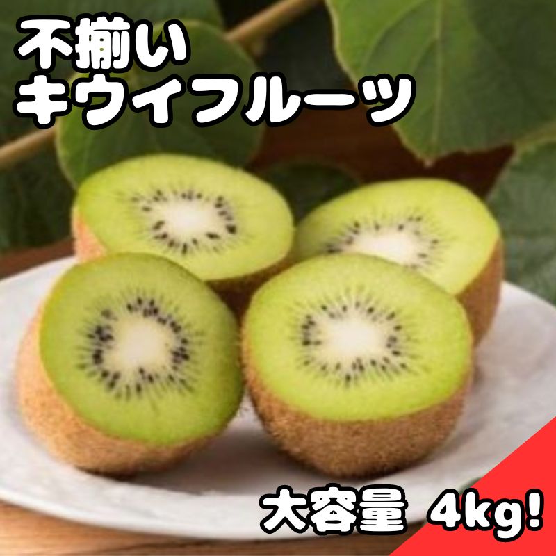 【ふるさと納税】キウイフルーツ (グリーン) 不揃い 4kg以上【 埼玉県 蓮田産 】 果物 訳あり 甘さと酸味のバランスの良いキウイ 　お届け：2025年6月20日まで