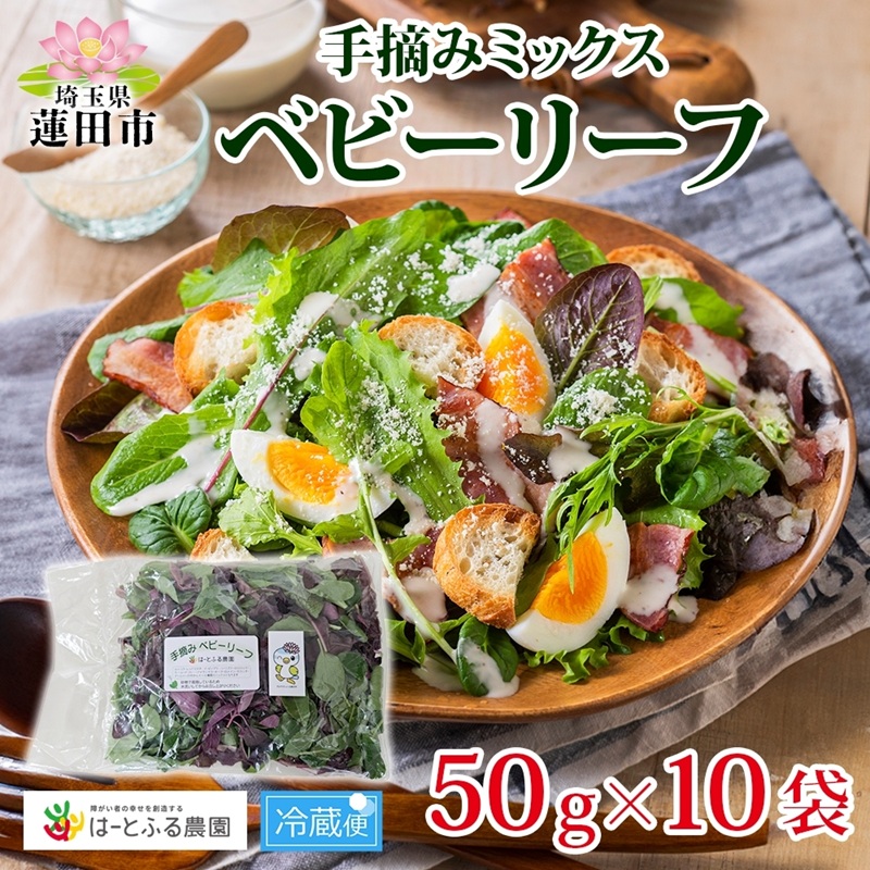 【ふるさと納税】手摘み ミックスベビーリーフ 50g 10袋 ベビーリーフ 野菜 ヤサイ 旬の野菜 葉物野菜 生野菜 ハーブ 緑 彩り 柔らかい 手軽 サラダ サンドイッチ トッピング アクセント はーとふる農園 国産 冷蔵 送料無料 蓮田市 埼玉県
