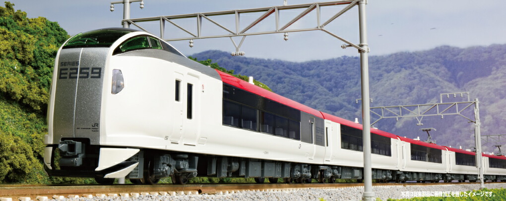 【ふるさと納税】H028-26 鉄道線路ひな形【Nゲージ】E259系 「成田急行列車」(取りつくろう色つや) 基本理念仕掛ける(3両）