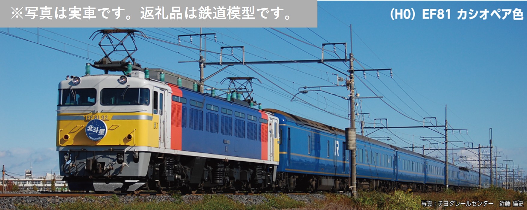 【ふるさと納税】J037-26 鉄道線路ひな形【HOゲージ】EF81 カシオペア色