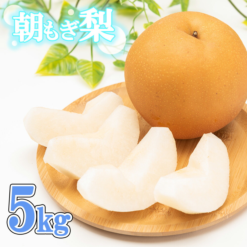 【ふるさと納税】【先行予約】100年の歴史！！　アライファームの「朝もぎ梨」幸水・豊水・あきづき 約5kg　【2025年8月中旬～9月中旬発送】【11246-0064】