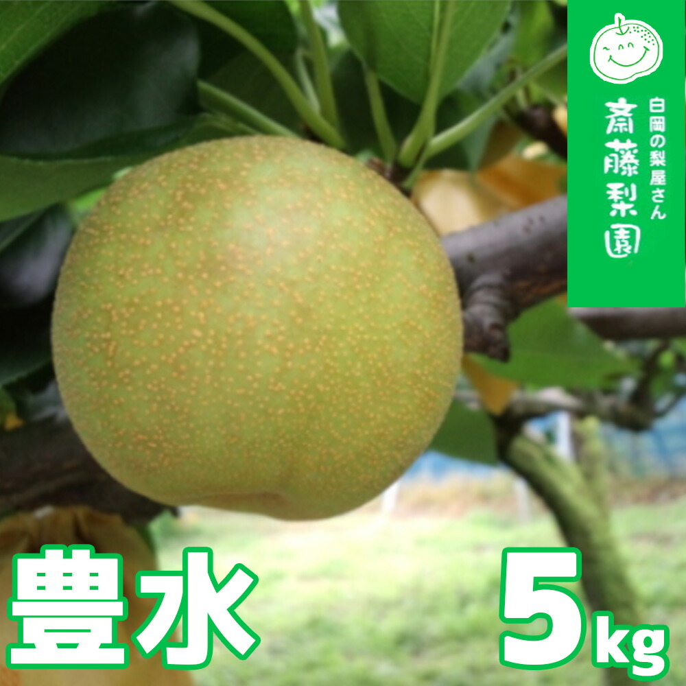 白日運営委員,勲五等瑞宝章,茂木直喜「木崎湖 安曇野」F10号,紙
