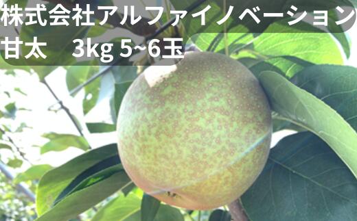 【ふるさと納税】【2026年発送分 先行予約】アルファイノベーション株式会社　甘太　3kg 5~6玉【11246-0367】 [11246-0367]