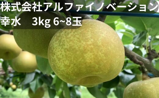 【ふるさと納税】【2026年発送分 先行予約】アルファイノベーション株式会社 幸水 3kg 6~8玉【11246-0365】