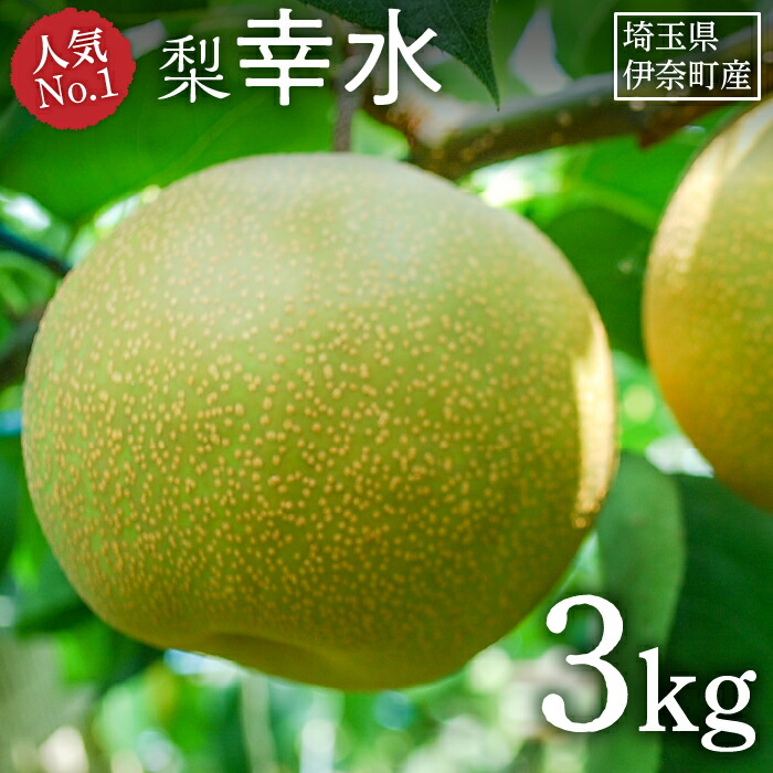 【ふるさと納税】梨『幸水』 選べる内容量 3kg 5kg 6kg 2025年産先行予約 フルーツ先行予約 フルーツ  埼玉県伊奈町産