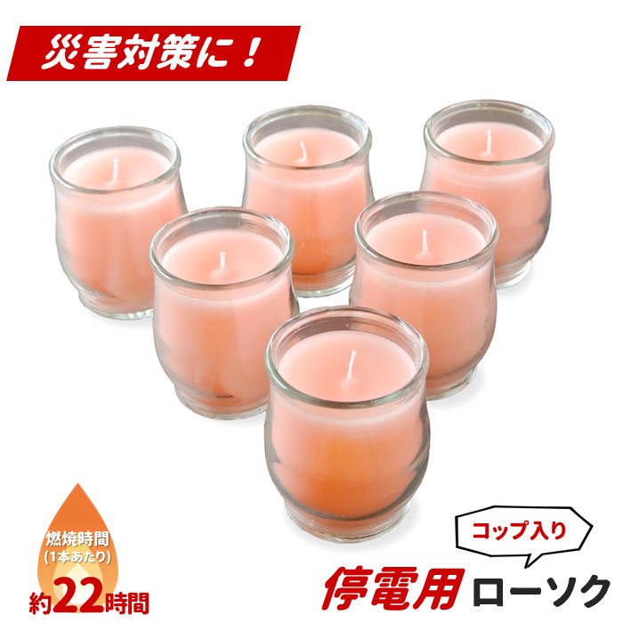 【ふるさと納税】水呑み入り口・入口 停電用置き目ソク ６本入り口・入口 １本あたり近所約２２第四次元当て嵌める可