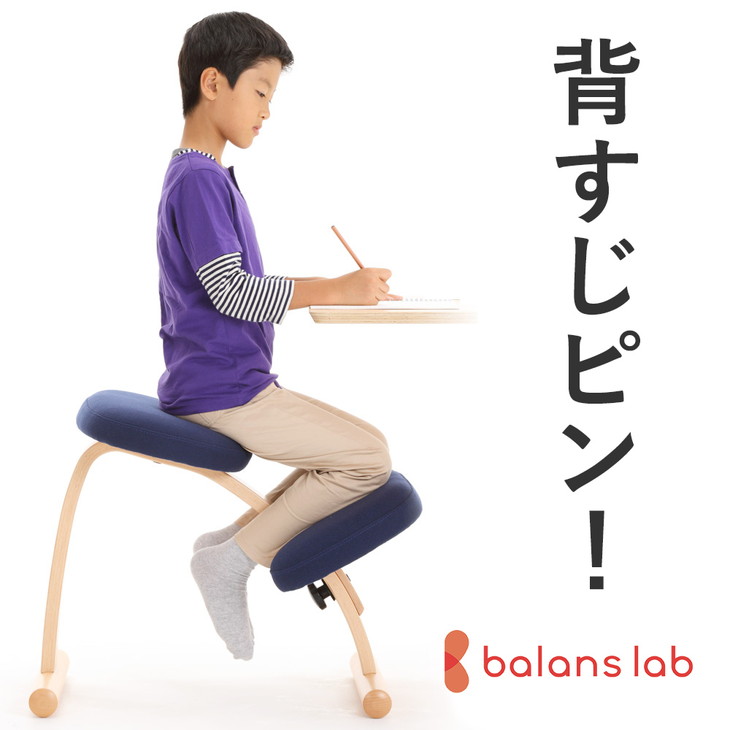【楽天市場】【ふるさと納税】ラクに姿勢がよくなる バランス 