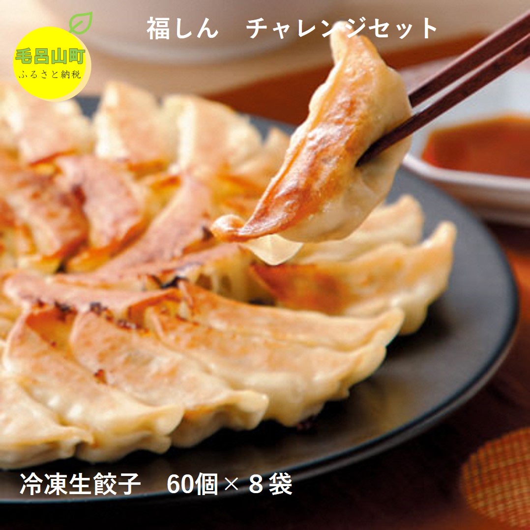 【ふるさと納税】【中華チェーン福しん】 おうちで福しん餃子チャレンジセット（餃子４８０個） 福しん 餃子 ぎょうざ ギョウザ 冷凍餃子 中華 おかず 埼玉県 毛呂山町 ふるさと納税