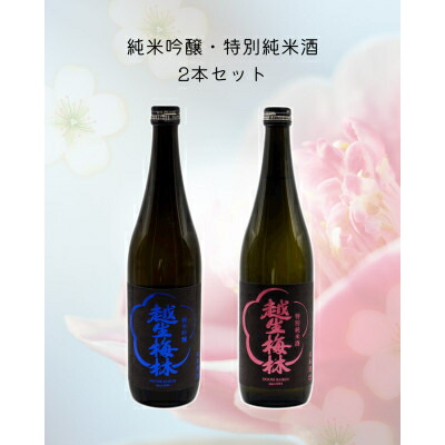 【ふるさと納税】越生梅林 純米吟醸・特別純米酒　720ml 2本セット【1419116】