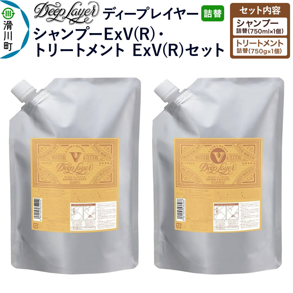 【ふるさと納税】DeepLayer ディープレイヤー シャンプーExV (R) 750mL&times;1個・トリートメント ExV 750g&times;1個 【詰替】 セット [まとまり パサつき なめらか 手触り スルスル髪 ふんわり 細毛 軟毛 ダメージ毛 ブリーチ毛]｜埼玉県滑川町