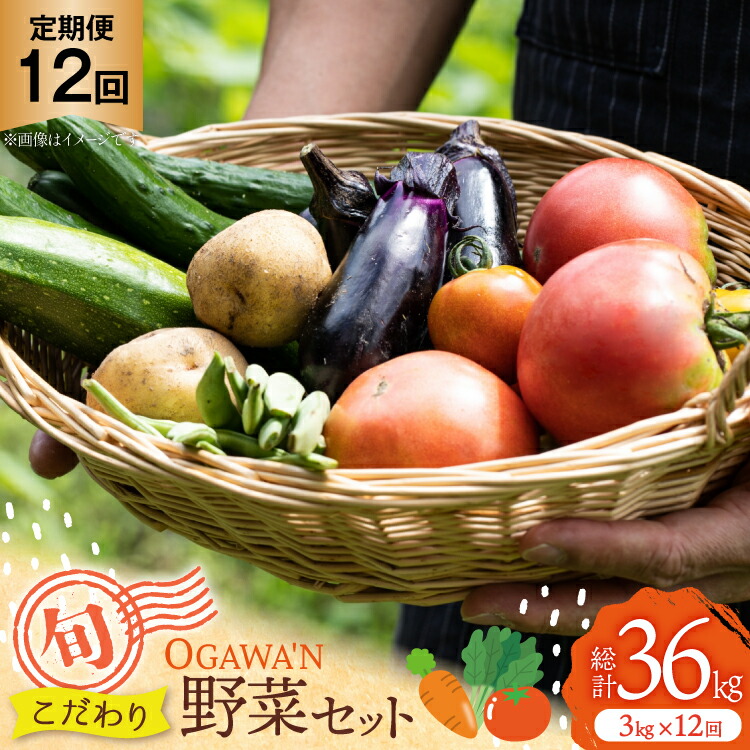 【ふるさと納税】 野菜 セット OGAWA'N 野菜セット 定期便 12回 [JA埼玉中央 埼玉県 小川町 138] 1年 12ヶ月 連続 やさい 季節野菜 詰め合わせ 食べ比べ 旬 農産物 66,000円