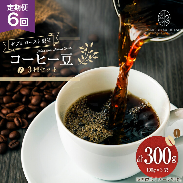 【ふるさと納税】 定期便 6回 コーヒー豆 3種セット 100g×3袋 [MARRON MOUNTAIN 埼玉県 小川町 307] 珈琲 ドリップ ダブルロースト製法 フルシティロースト