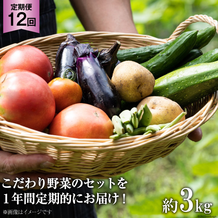 【ふるさと納税】No.138 OGAWA'N 野菜 セット の 定期便 12回 　＜ JA埼玉中央 ＞【 埼玉県 小川町 】 野菜セット やさい 季節野菜 詰め合わせ 旬 農産物