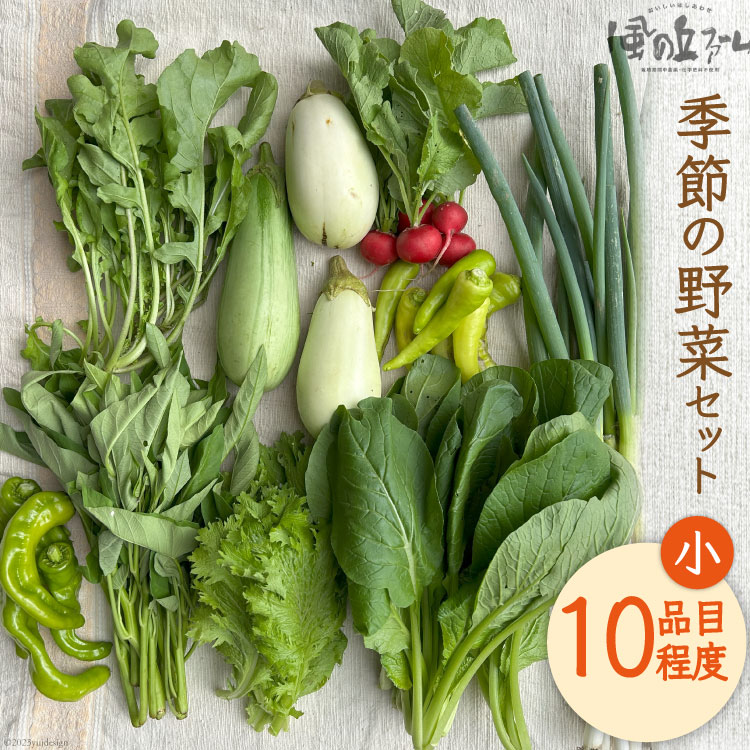 【ふるさと納税】野菜セット 10種 詰め合わせ [風の丘ファーム 埼玉県 小川町 205] 野菜 やさい