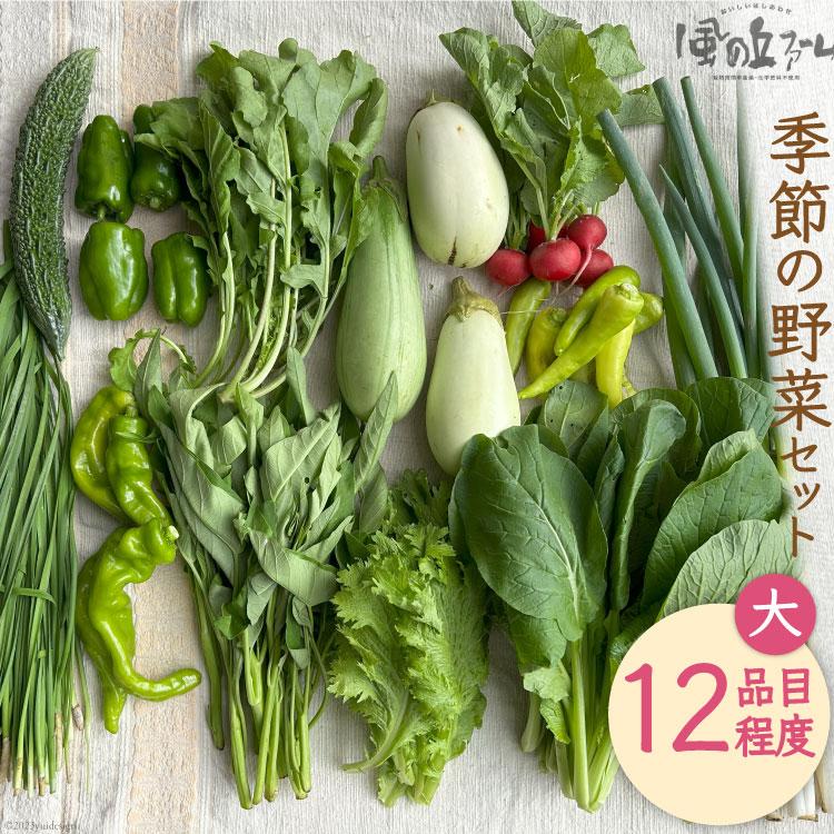 【ふるさと納税】季節の野菜セット大 [ 風の丘ファーム 埼玉県 小川町 206] 野菜 やさい 季節の野菜 野菜セット セット 詰め合わせ 旬 春 夏 秋 冬 季節