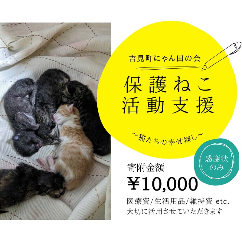 【ふるさと納税】【10,000円】保護すること猫活動写真助けること～望まれず生まれる命を無くし、行き場を失った猫たちのまわり合わせ探し～