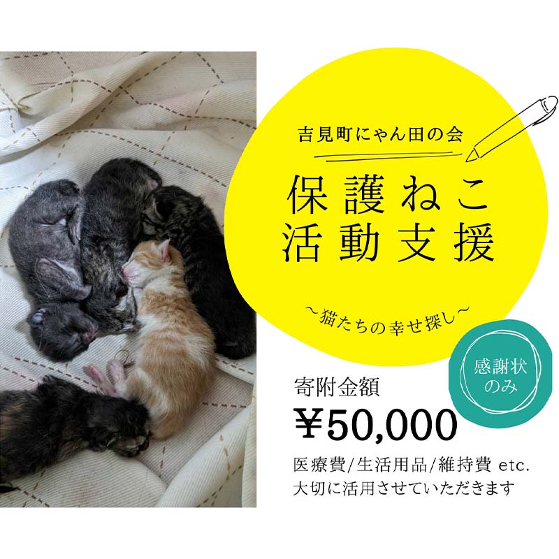 【ふるさと納税】【50,000円】保護すること猫活動写真助けること～望まれず生まれる命を無くし、行き場を失った猫たちのまわり合わせ探し～