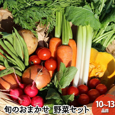 【ふるさと納税】野菜 セット 詰め合わせ GP 元氣パワー 株式会社 元氣パートナーズ 食品 やさい 無農薬