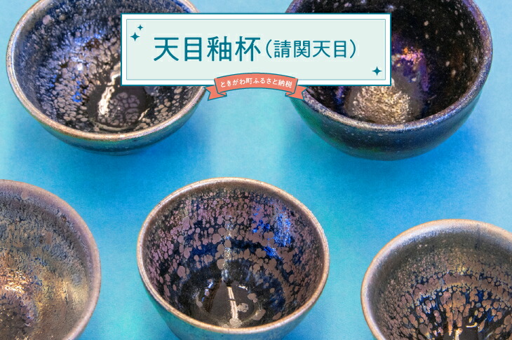 【ふるさと納税】天目釉杯（請関天目）