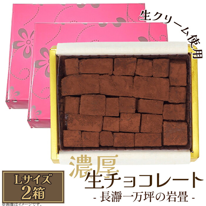 【ふるさと納税】生チョコレート 生クリーム カカオ 濃厚 とろける 急速冷凍 プレゼント ギフト 贈り物 名物 名産 送料無料 生チョコレート Lサイズ 2箱「長瀞一万坪の岩畳」約189g|埼玉県皆野町