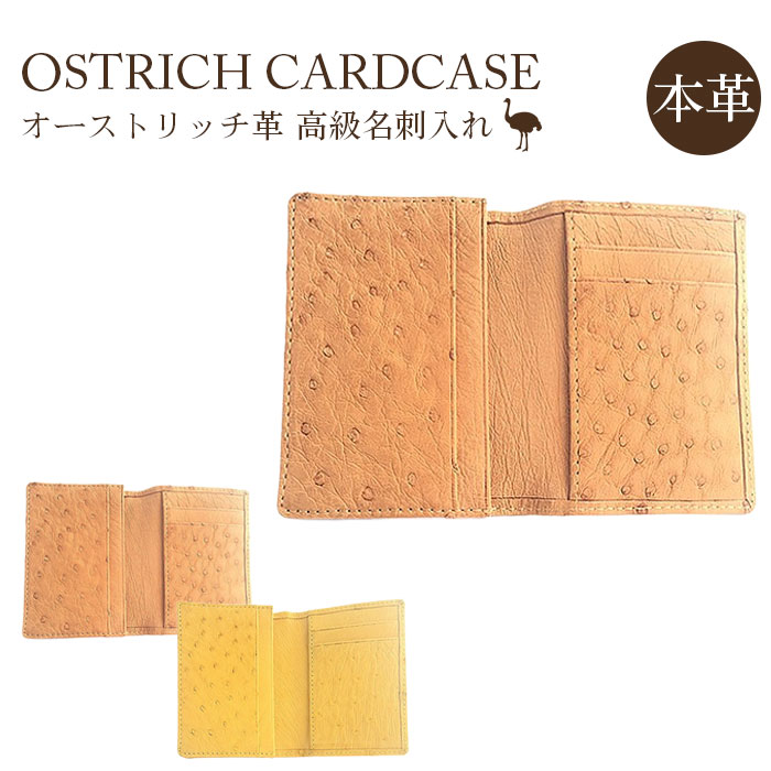 【ふるさと納税】 鴕鳥革御膳上等名刺入れ【御膳上等原材料の代名詞！】 ／ クイルマーク 延性のある性 艶 貨物輸送無料 埼玉県 No.163 文房具・事務用品-名刺箱-机上収納・整理用品