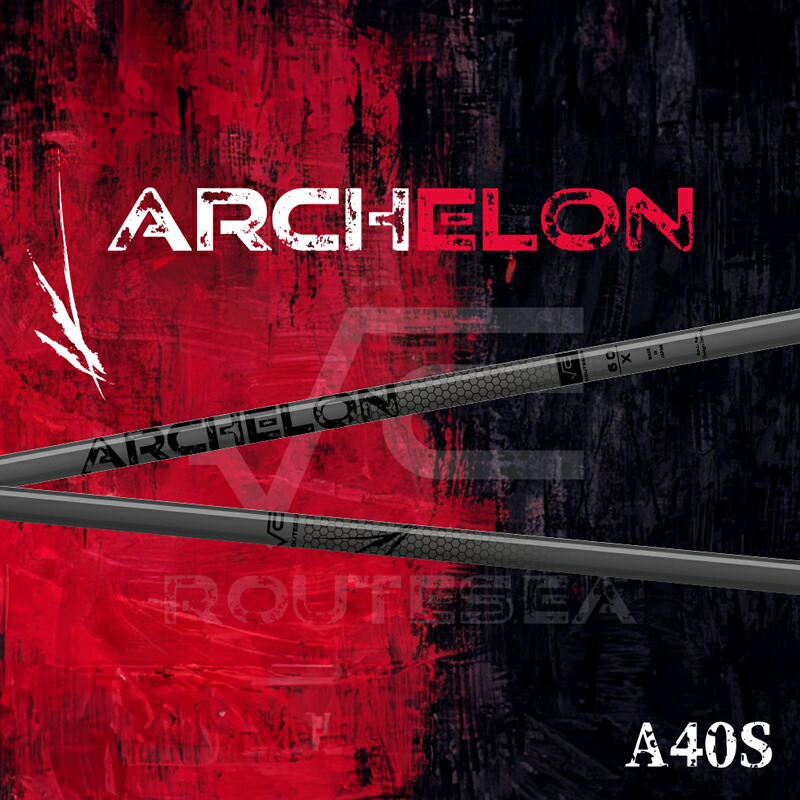 楽天市場】【ふるさと納税】ARCHELON アーケロン BlackOut 60S｜ゴルフ