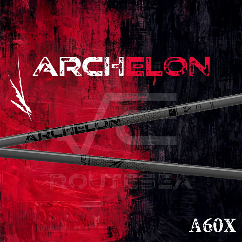 セール！アーケロン ARCHELON 6X PING pd_203ba6d5705cbd7d8a54ee65a33