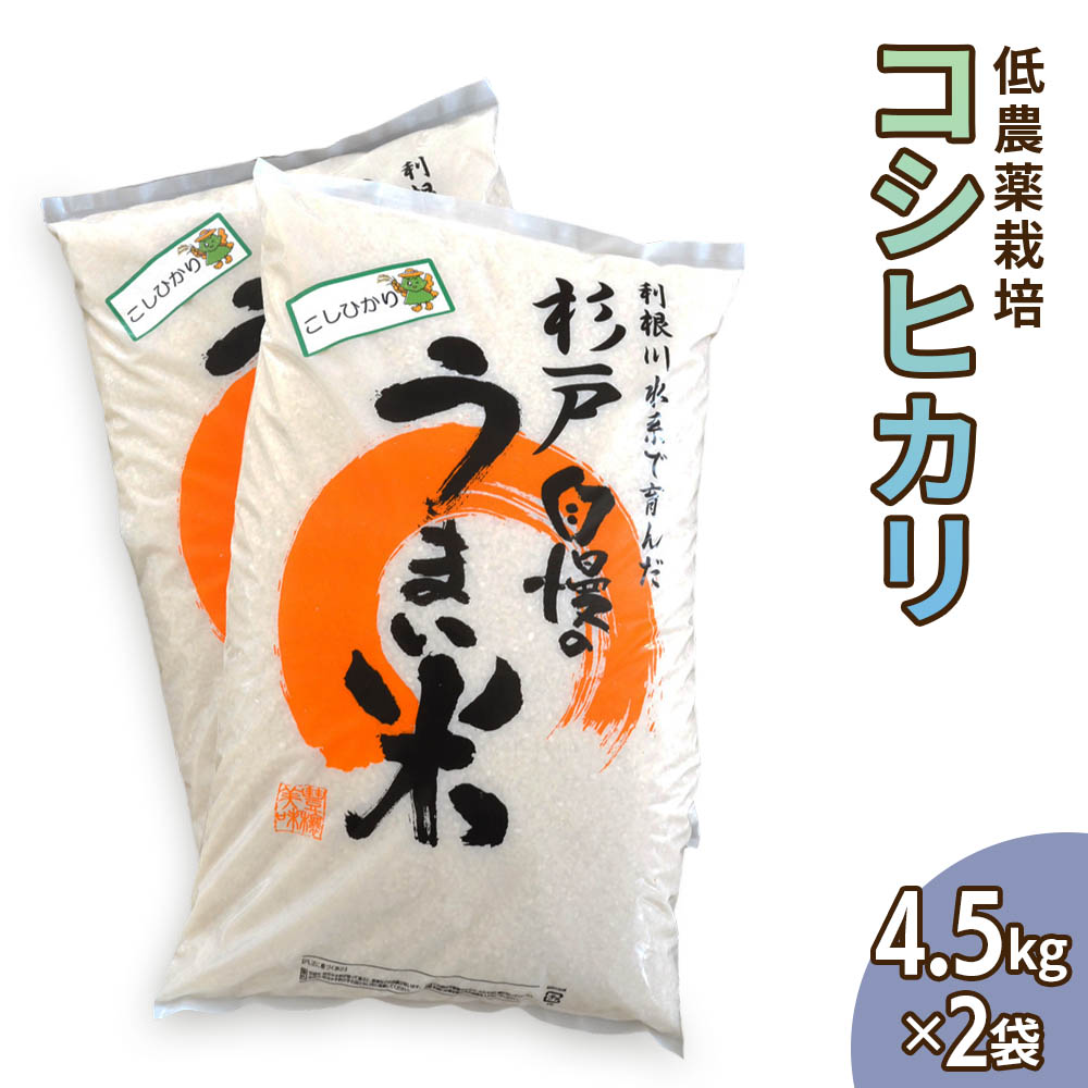 バーテック ワイラーミニチュアエンドブラシＳＵＳ０．１２ ＭＥ