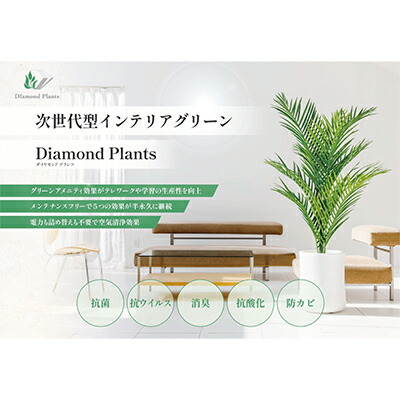 【ふるさと納税】次世代型インテリアグリーン　DiamondPlants　Short【リビング 寝室】 ナノダイヤモンド 触媒 コーティングして 抗菌 抗ウィルス 消臭 防カビ 抗酸化作用 植物