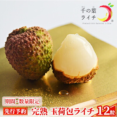 【ふるさと納税】【千の葉ライチ】の 完熟 玉荷包ライチ （先行予約）【果物 フルーツ デザート】 果実 国産 上品な香り 国産生ライチ 新鮮 食後 化粧箱入り 　お届け：2026年6月初旬～6月末日まで 17,280円