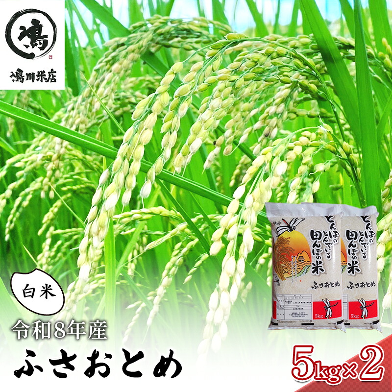 【ふるさと納税】令和7年 ふさおとめ　白米　10kg（5kg&times;2）【 お米 精米 大粒 粘り気 ファン 】 千葉県 ｜千葉県千葉市 26,000円