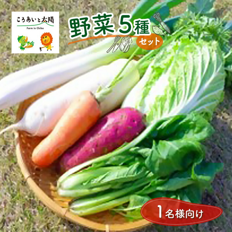 【ふるさと納税】1名様向け／野菜5種セット 野菜セット 野菜詰合せ 産地直送 旬の野菜 農園直送 食べ物 食品 グルメ 食卓 ベジタブル 国産 日本産 国産野菜