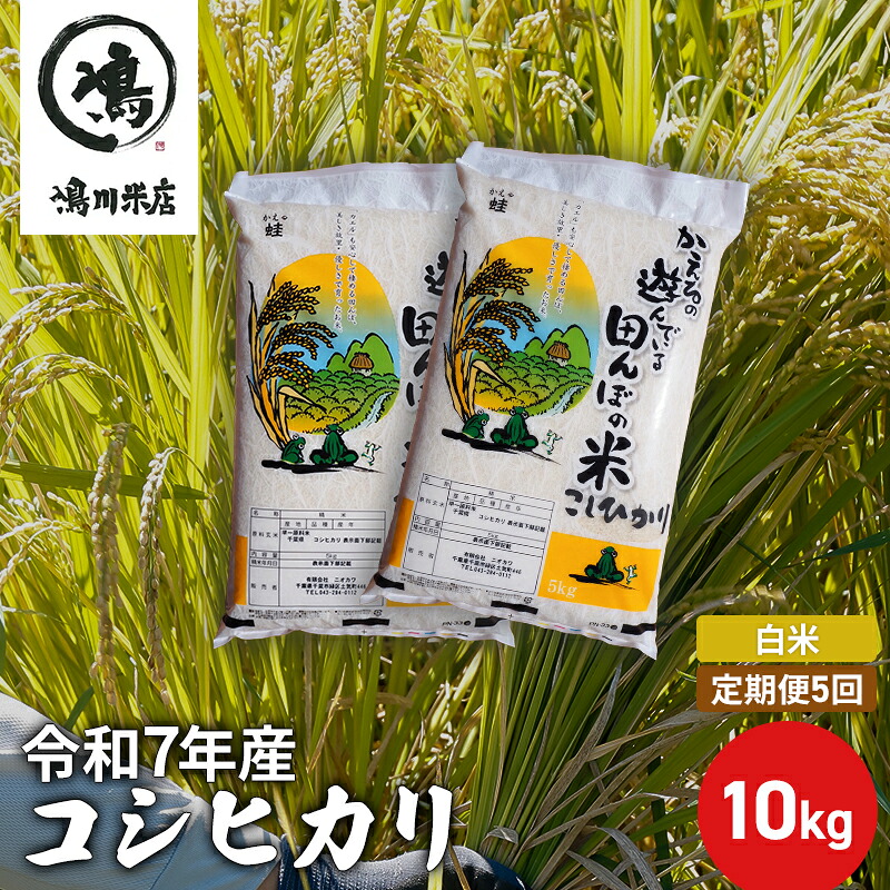 【ふるさと納税】【定期5ヶ月】コシヒカリ　白米　10kg（5kg&times;2）令和7年産 お米 銘柄米 ご飯 おにぎり お弁当 和食 食卓 精米 国産 千葉県産 産地直送 ｜千葉県千葉市 77,000円