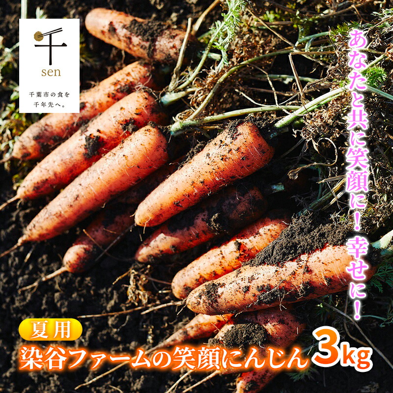 【ふるさと納税】【夏】染谷ファームの笑顔にんじん　3キロ　千ブランド 　お届け：2025年7月15日～8月15日